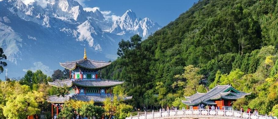 image-processing20240520-2-fu5k3p_standard (1)