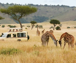 Travel-Guide-to-Kenya